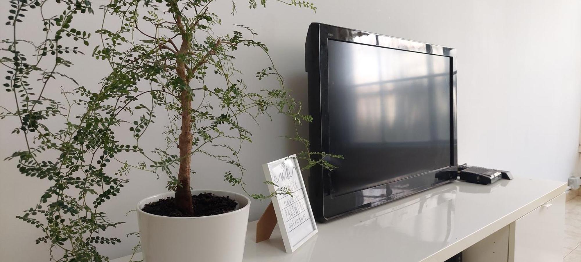 הנביאים 1 נתניה Naveim Apartment المظهر الخارجي الصورة